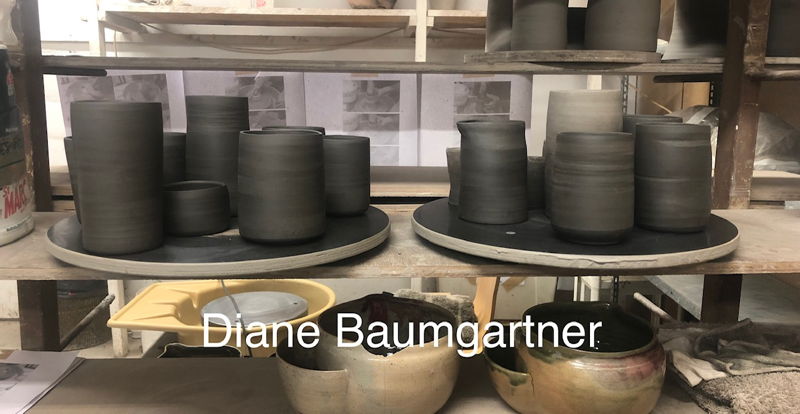 Diane Baumgartner